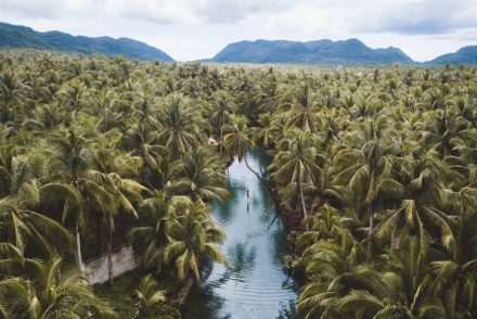 Siargao