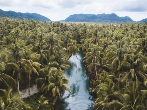 Siargao