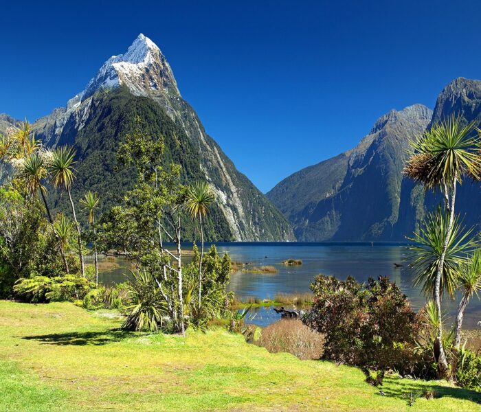 Nouvelle Zélande