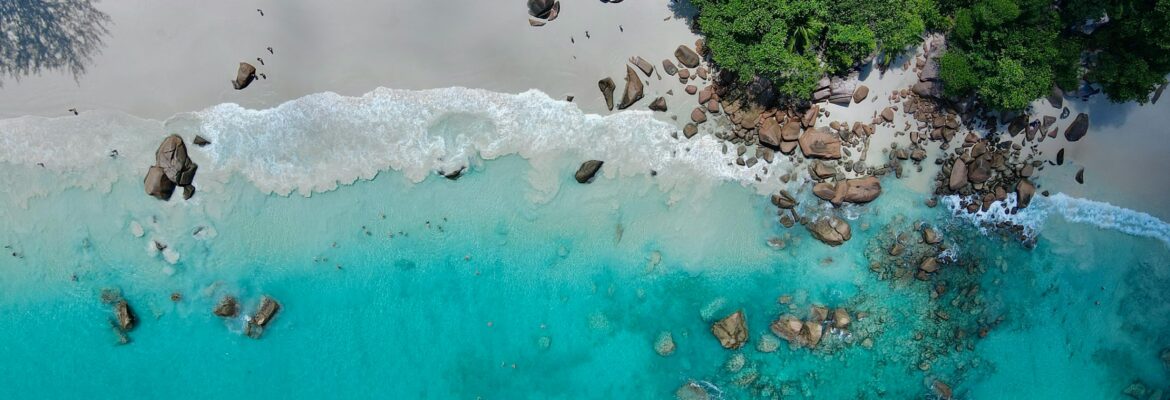 michaela-rimakova-rFdG9xhcBRE-unsplash